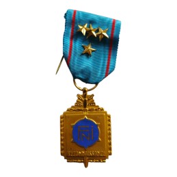 Médaille Belge FNI /NVI